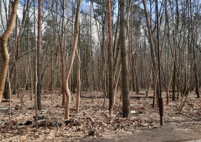 działka na sprzedaż - Warszawa, Wawer, Anin, Axentowicza